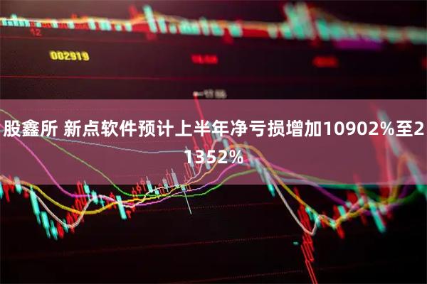 股鑫所 新点软件预计上半年净亏损增加10902%至21352%
