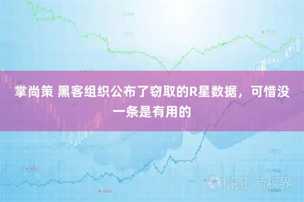 掌尚策 黑客组织公布了窃取的R星数据，可惜没一条是有用的